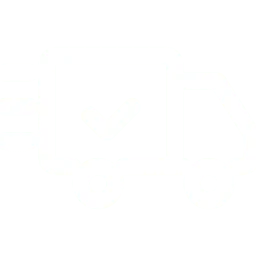 eXpress-Delivery-icon-white- by Haji Laundry Services